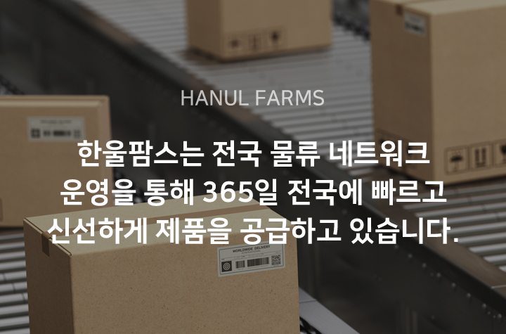 물류시스템