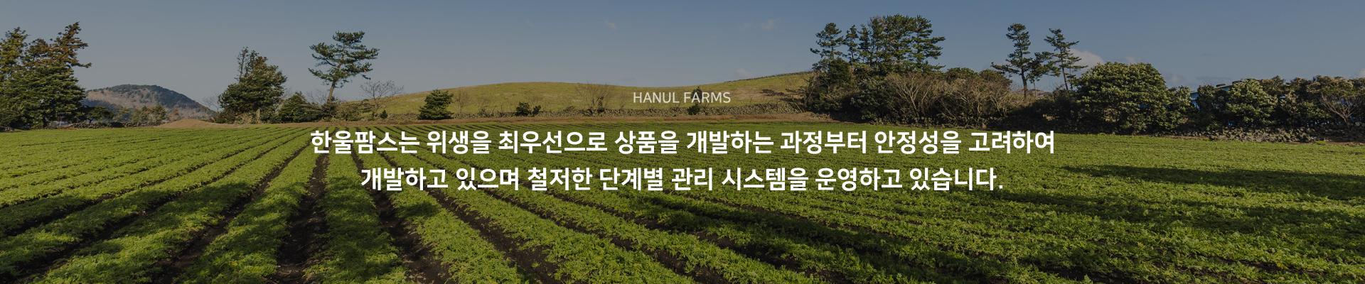 위생시스템